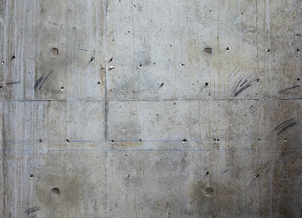 Best Custom Concrete Contractor  in Holland, MI
